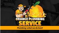 Orange Plumbing Services image 1